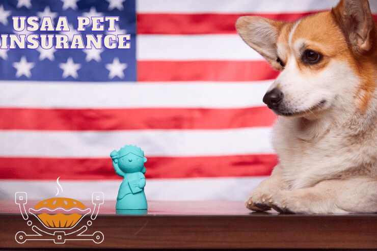 USAA Pet Insurance
